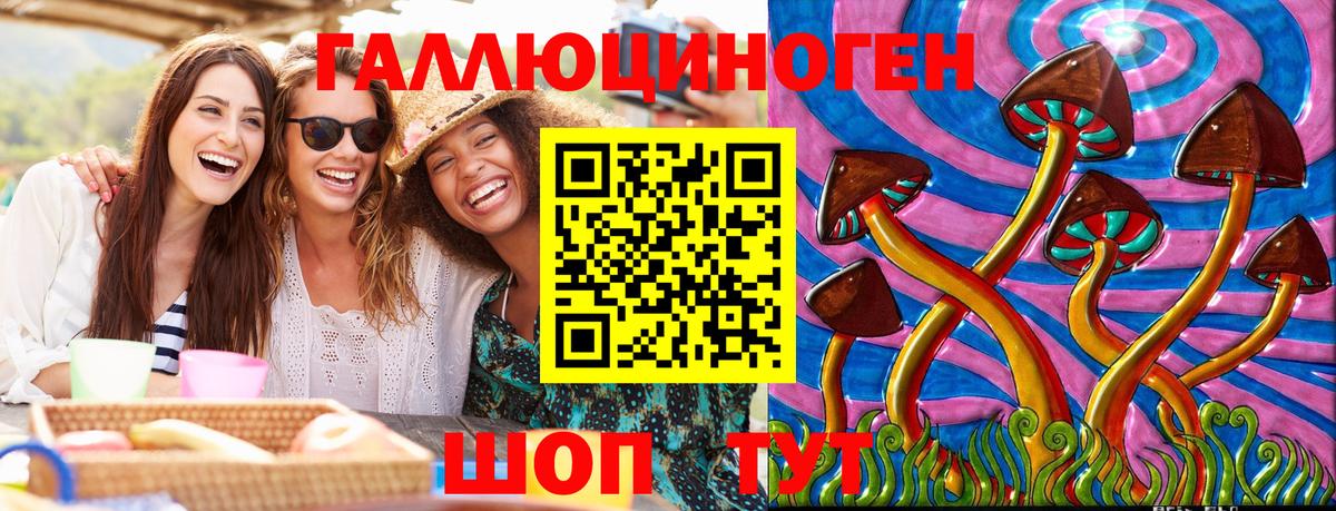 Галлюциногенные грибы прущие грибы Канаш